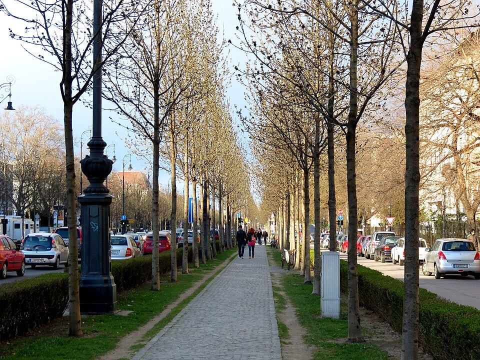 Tree-lined central pedestrian promenade of Andrassy Avenue in Budapest in late afternoon light, with rows of bare trees, an ornate lamppost, parked cars, and a few pedestrians walking down the cobblestone path